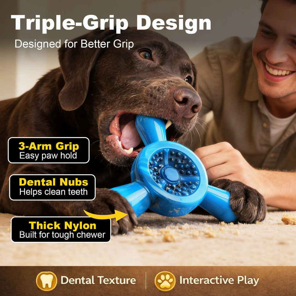Quizvi jouet nylon à triple prise pour saisie facile et mastication ciblée.