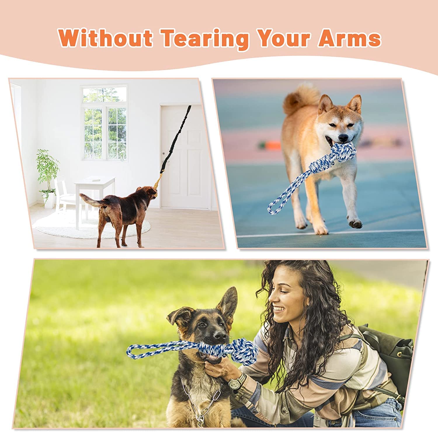 QUJOGA tir-bungee chien extérieur autour d'un arbre pour activité physique