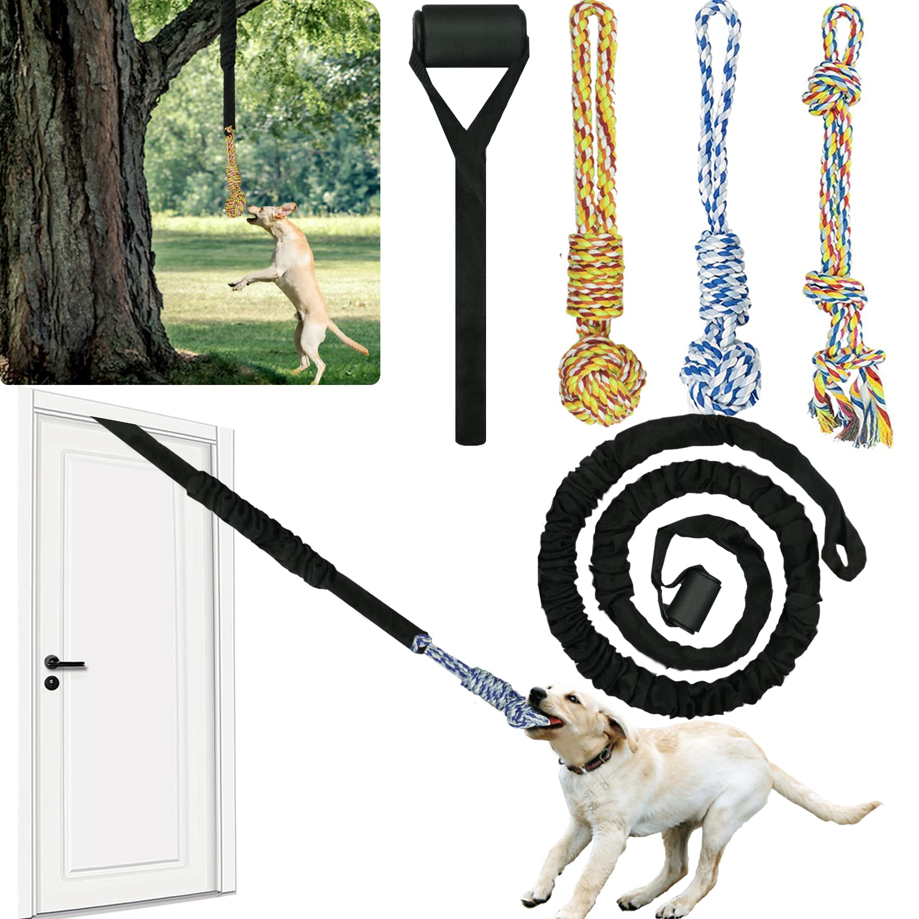 QUJOGA tir-bungee chien intérieur avec stimulation et énergie