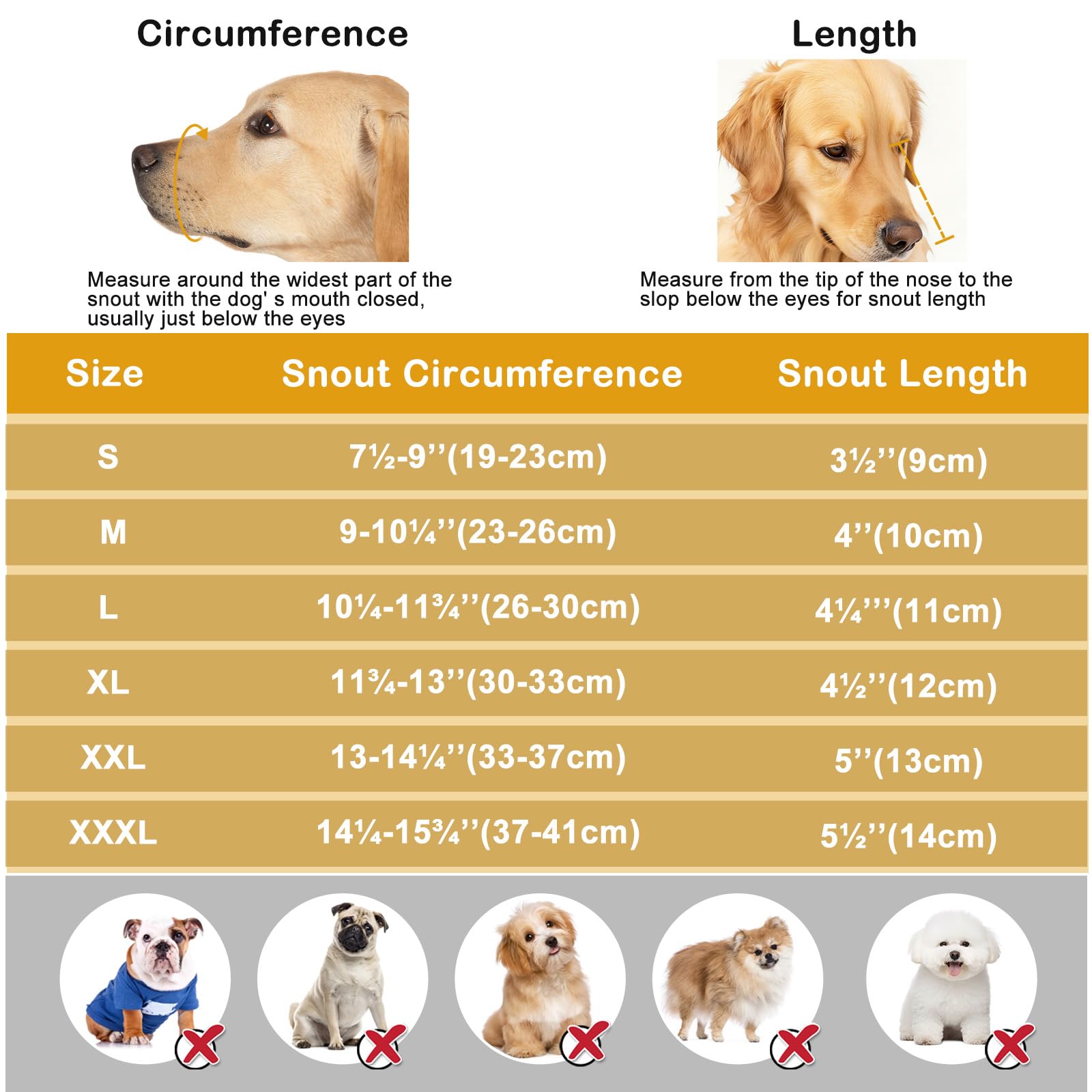 Qukcors museau chien idéal pour promenade et toilettage.