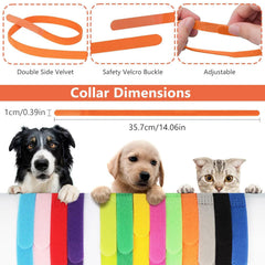Qulable pesee chaton chiot nouveaux-nes, precision fiable pour suivi du poids.
