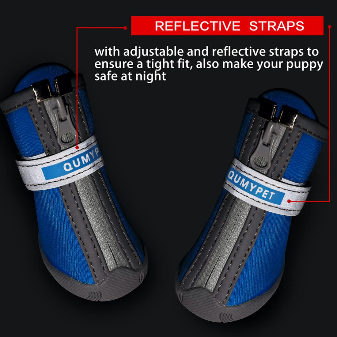 Design moderne QUMY pour petits chiens, couleur bleue élégante