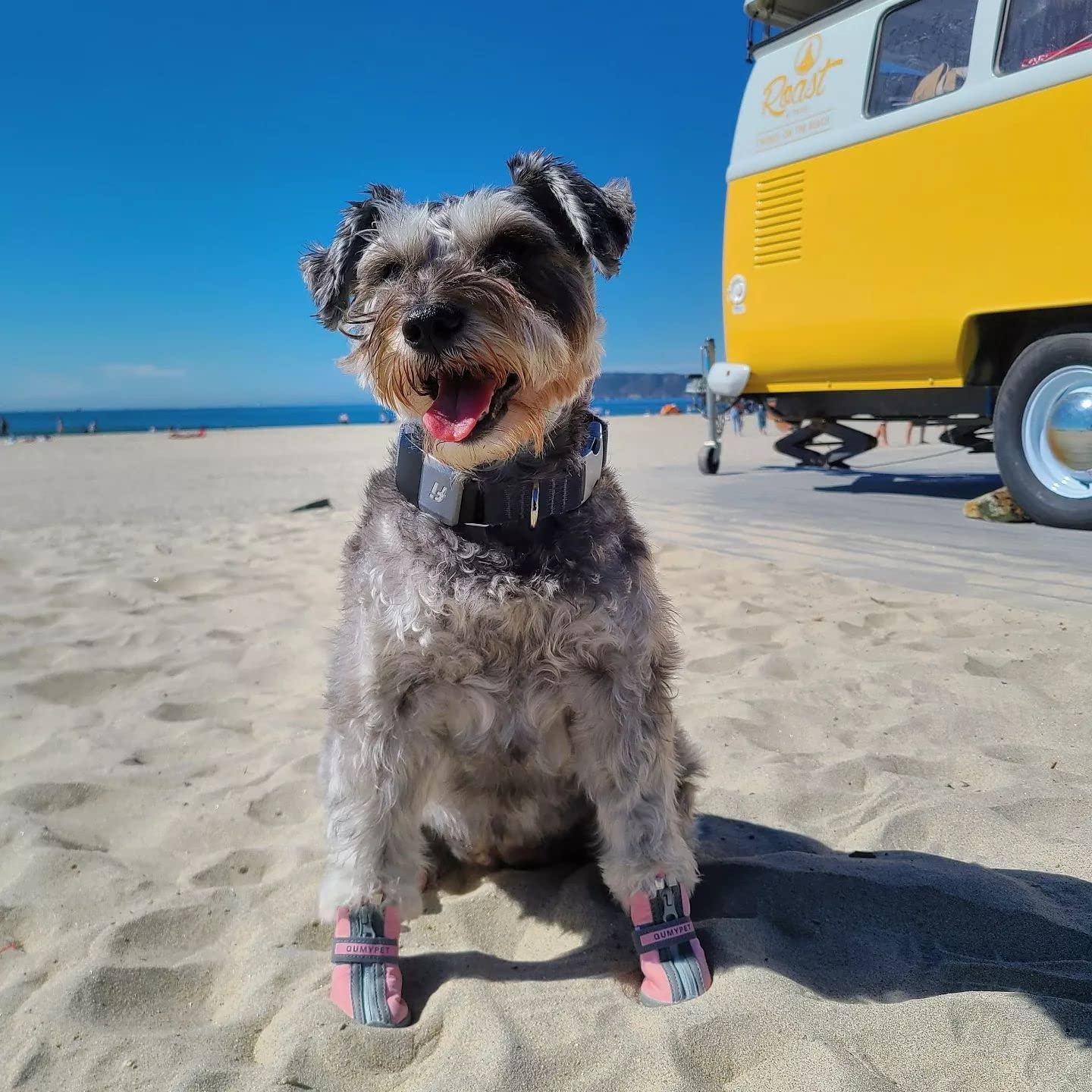 Bottes QUMY tendance rose, pratique pour activités en plein air avec votre chien.