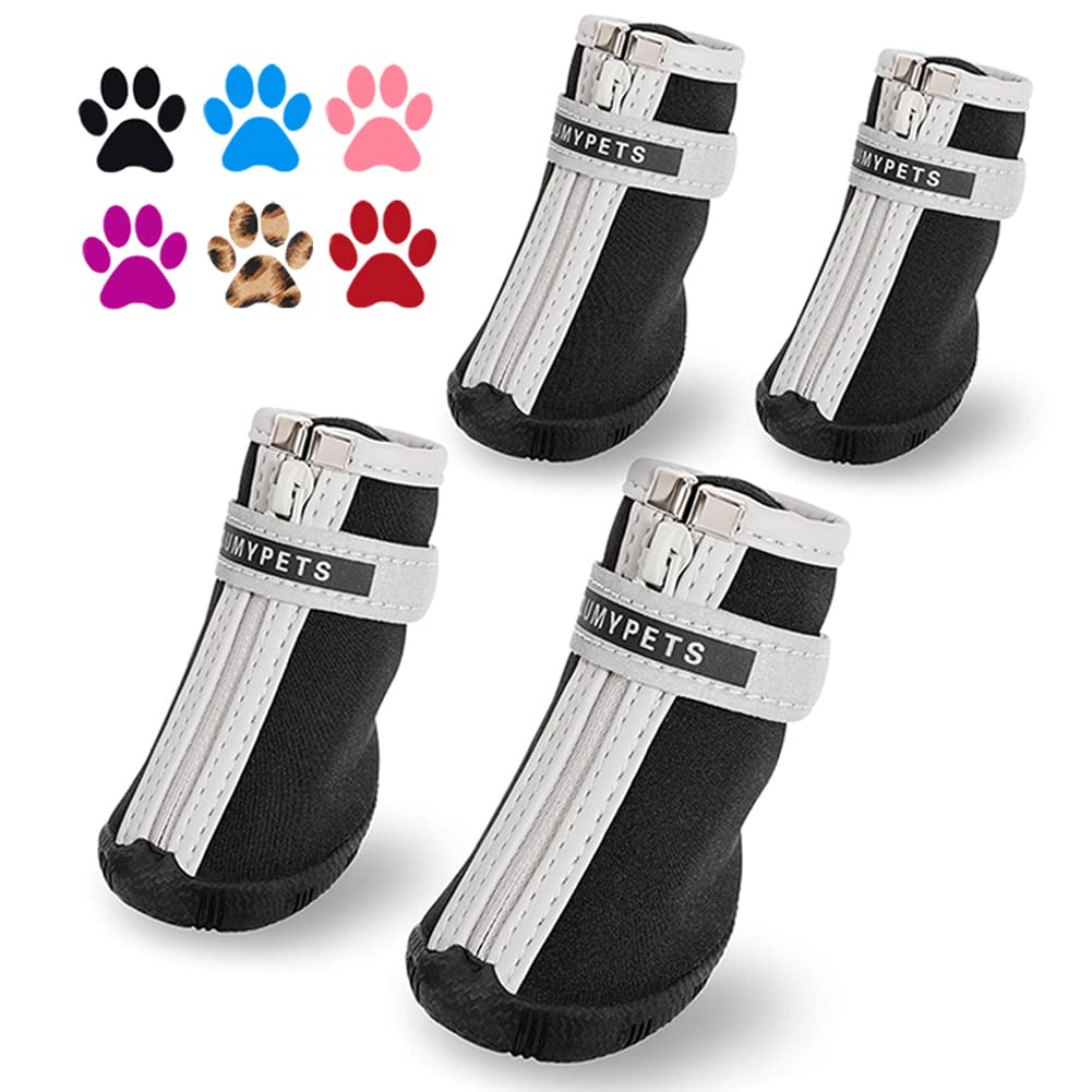 Chaussures QUMY pour petit chien avec fermeture zip et réglage pour un ajustement rapide