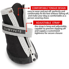 Chaussures QUMY pour petit chien, impermeables et patte protegée après pluie.