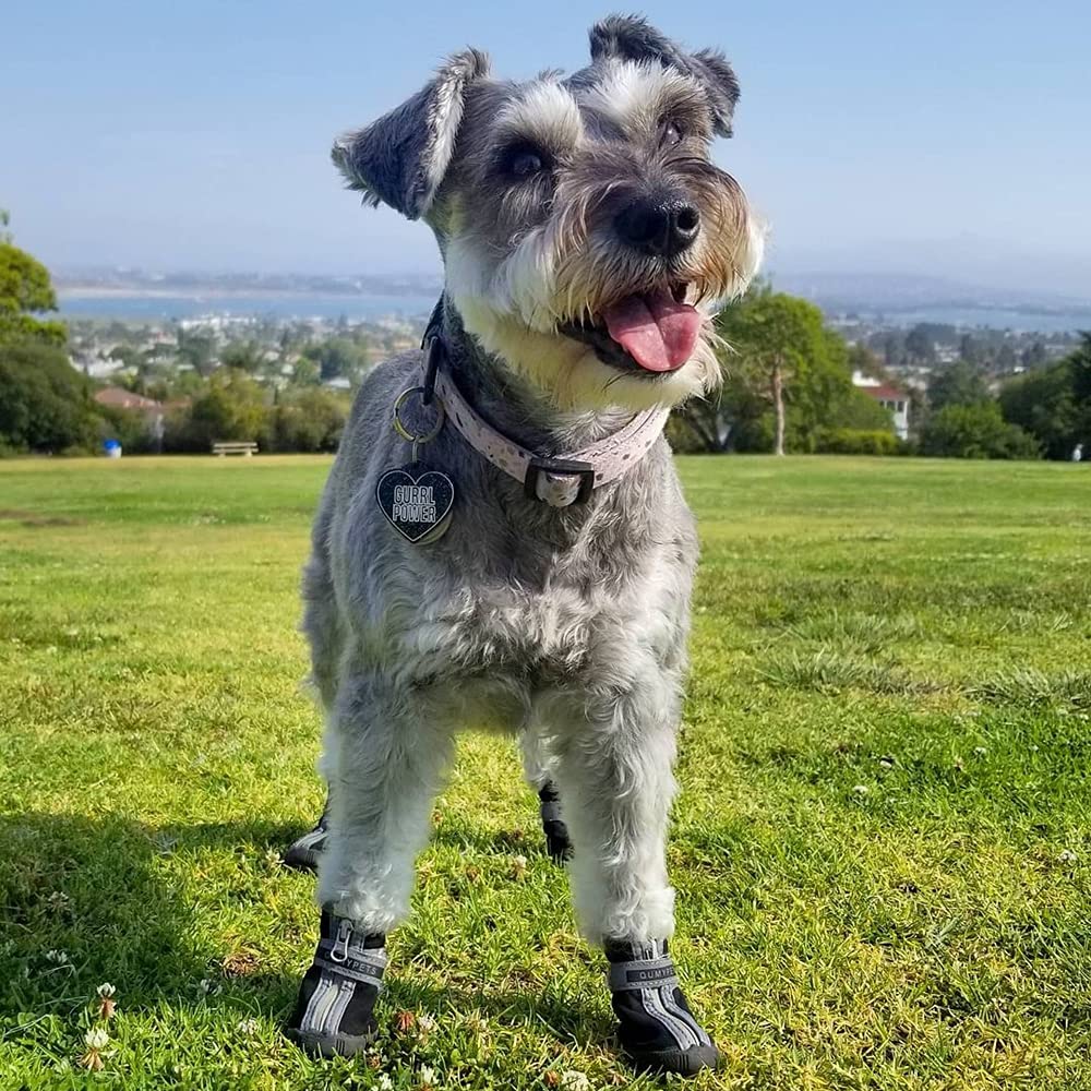 QUMY bottes pour petit chien, look mignon et pratique.