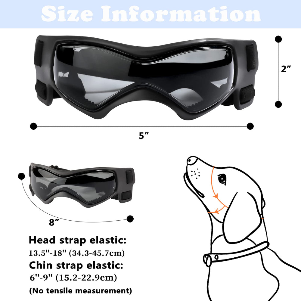 QUMY lunettes-chien-anti-poussiere protègent des particules lors des balades.