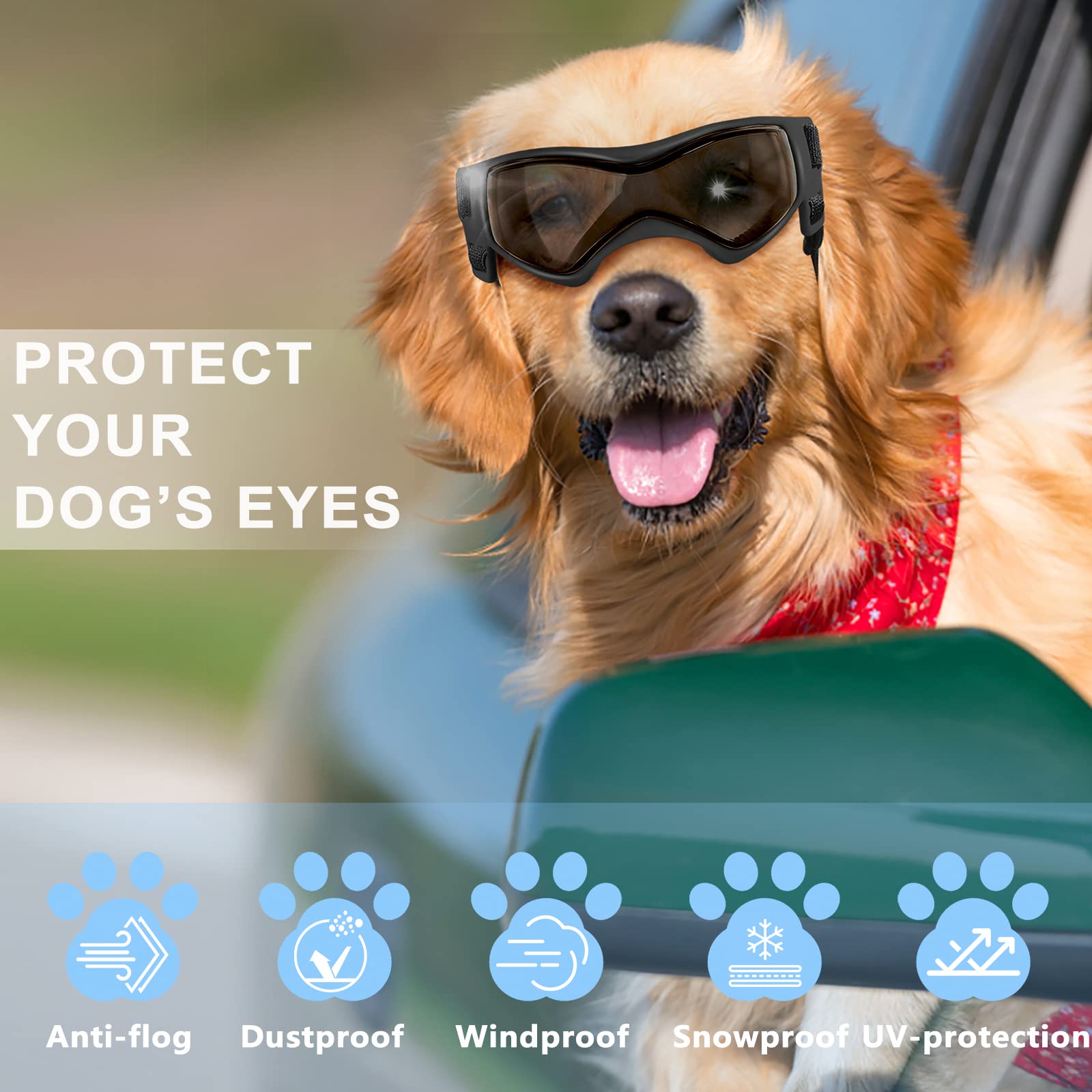 Protection anti-vent et poussière pour chien en extérieur