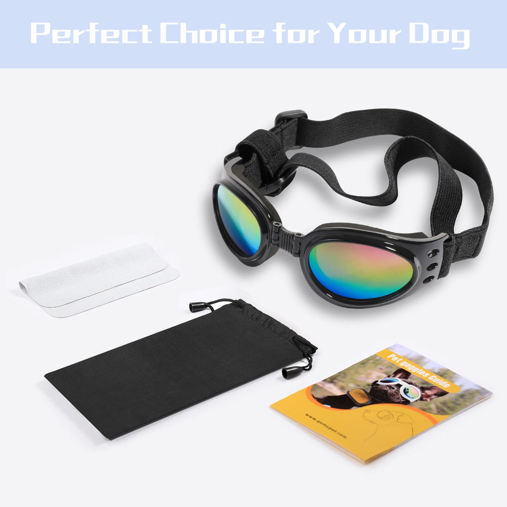 QUMY lunettes chien conduite moto protection oculaire.