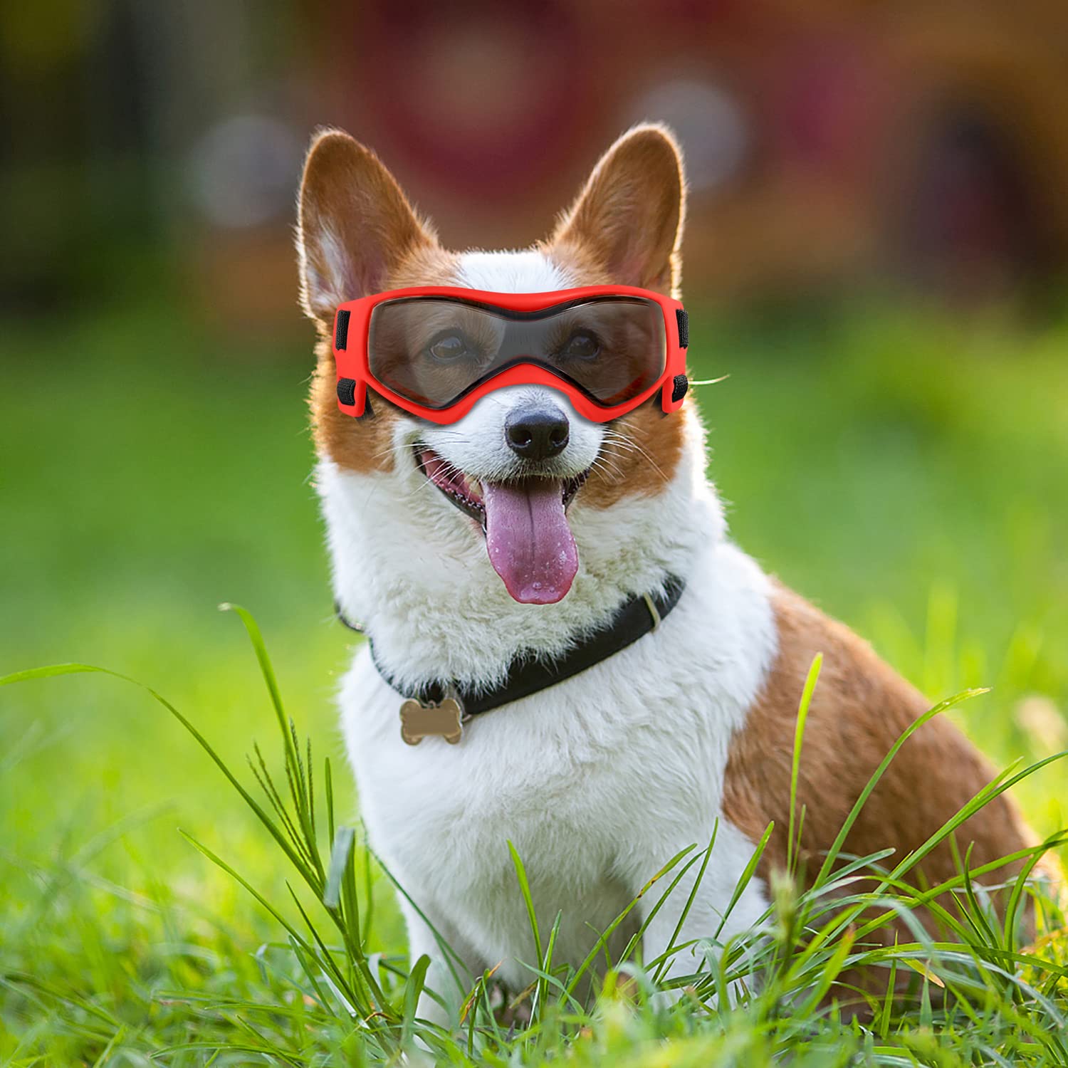 QUMY lunettes chien etui-nettoyage inclus pour entretien facile.