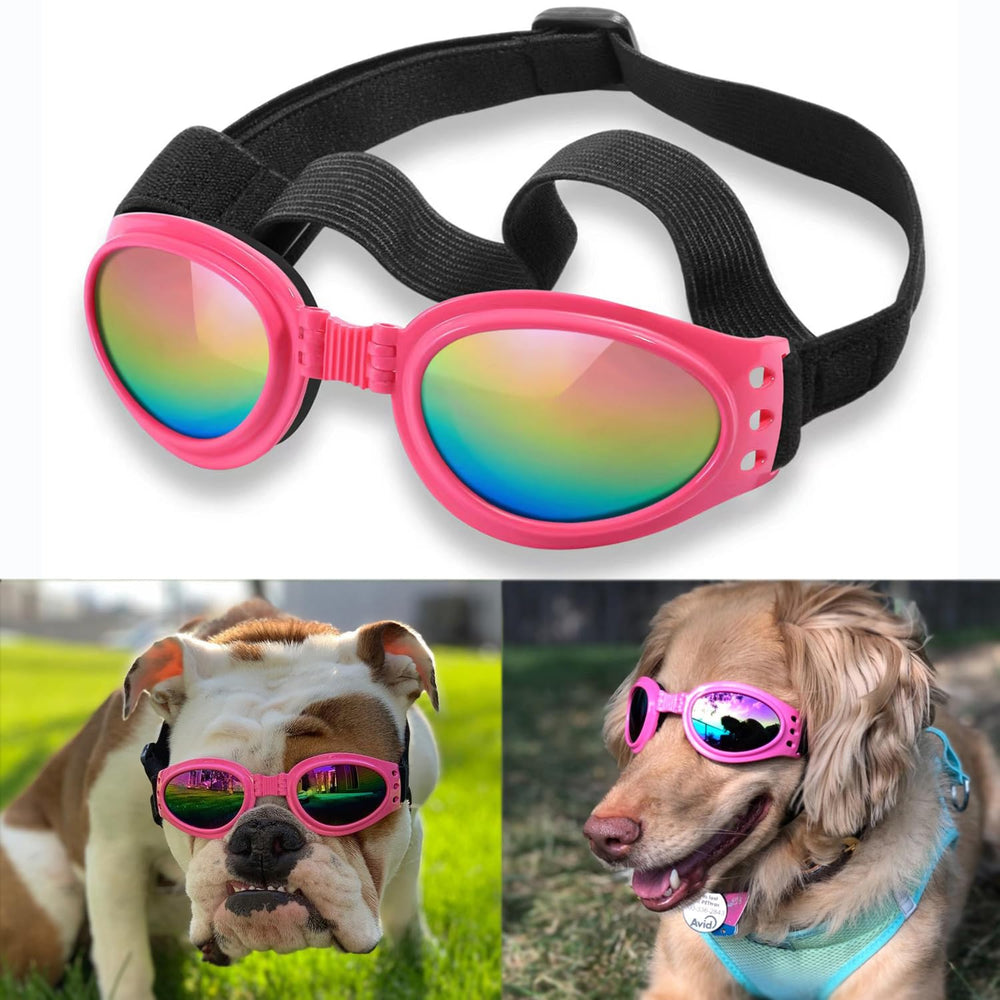Lunettes QUMY pour chien moyen, rose, utilisées lors d’activités en plein air avec protection UV.