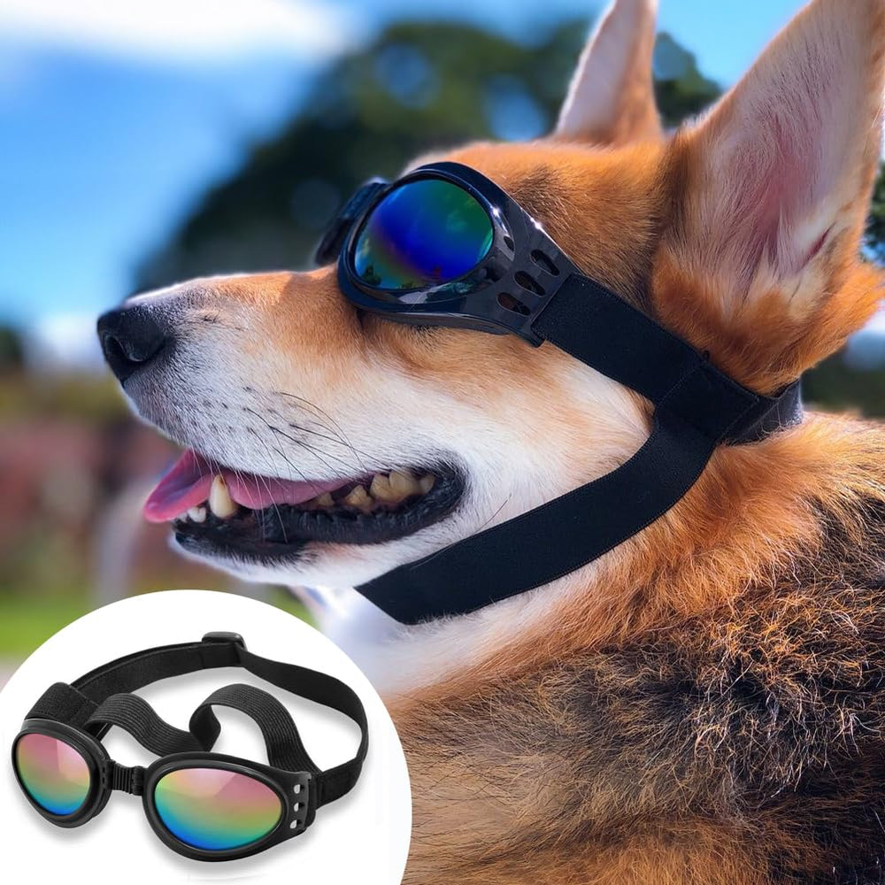 QUMY lunettes chien plage et neige protégeant des éléments extérieurs.