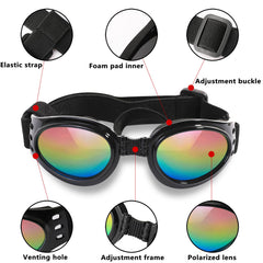 Lunettes QUMY pour chien avec protection UV et anti-brouillard pour les sorties en plein air.