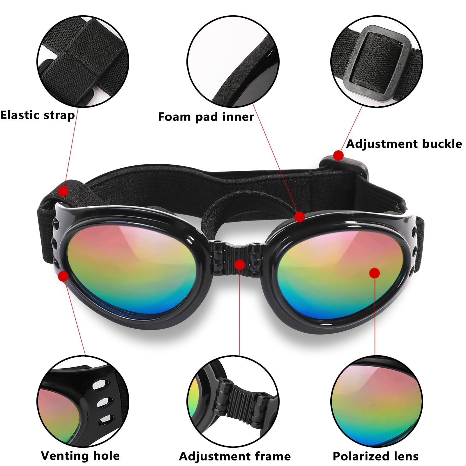 Lunettes QUMY pour chien protection UV pendant les trajets.