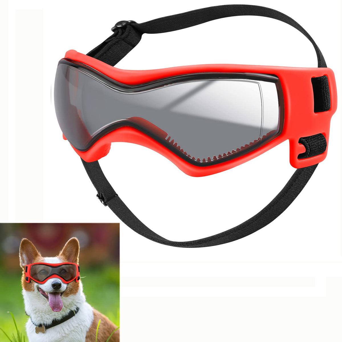 QUMY lunettes chien protection-uv pour promenades en plein soleil.