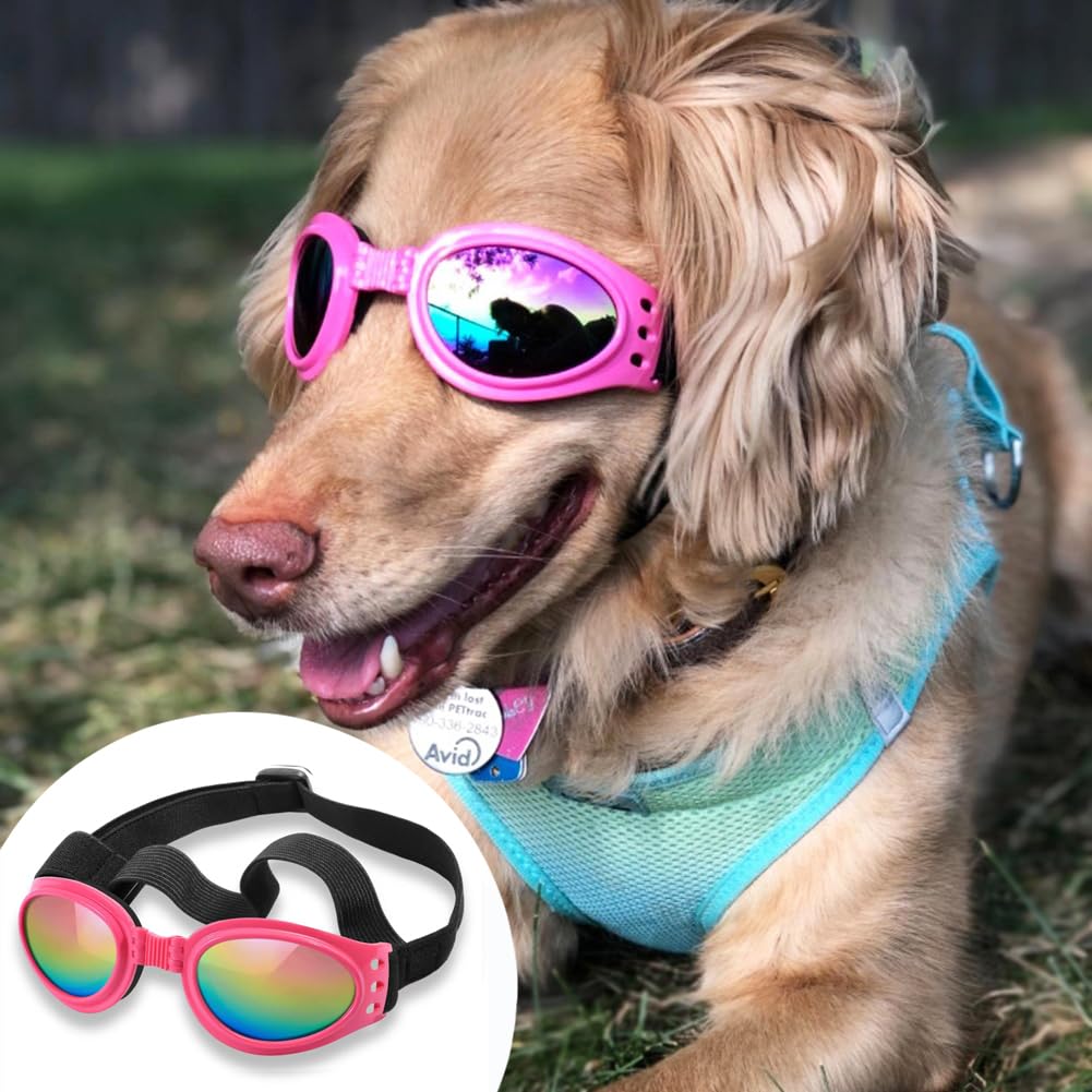Usage quotidien des lunettes QUMY pour chien, rose et pratique.