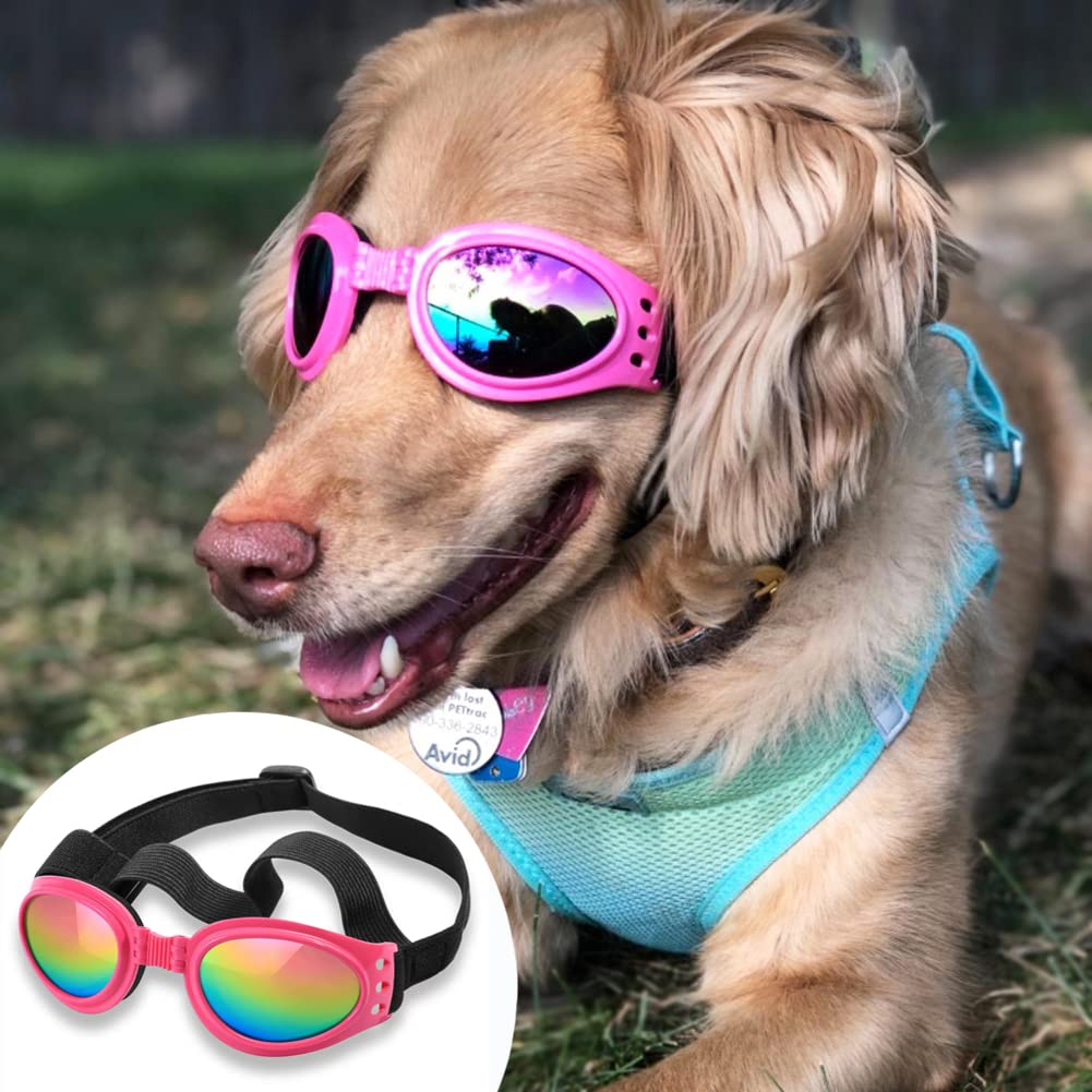 Sangle élastique ajustable des lunettes QUMY pour chien assure un port sûr.