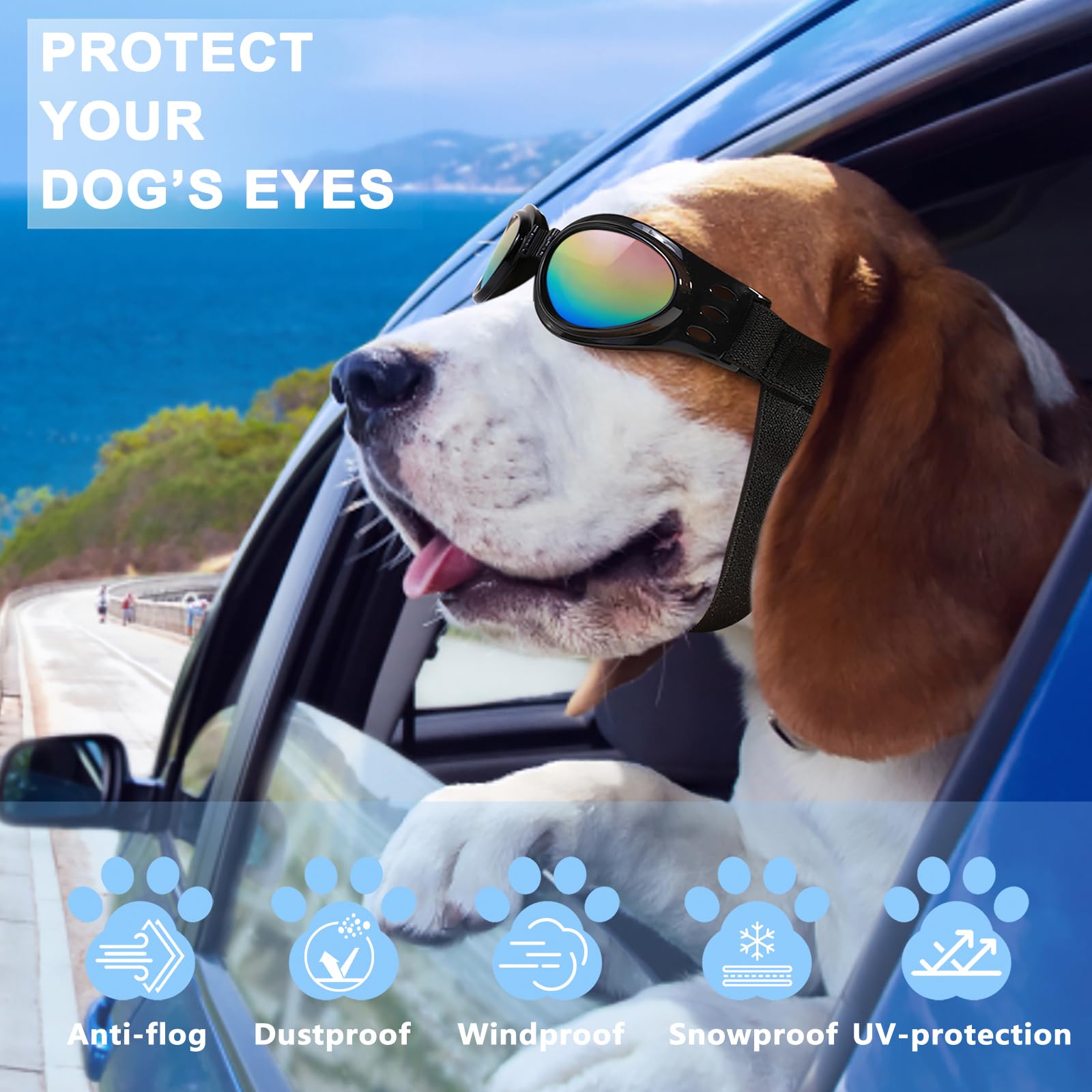 Utilisation des lunettes QUMY pour chien lors de trajets en moto.