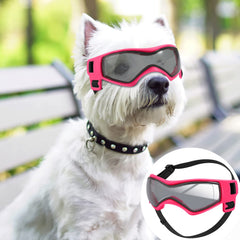 QUMY lunettes-chien-uv-protection protègent les yeux lors des sorties en plein air.
