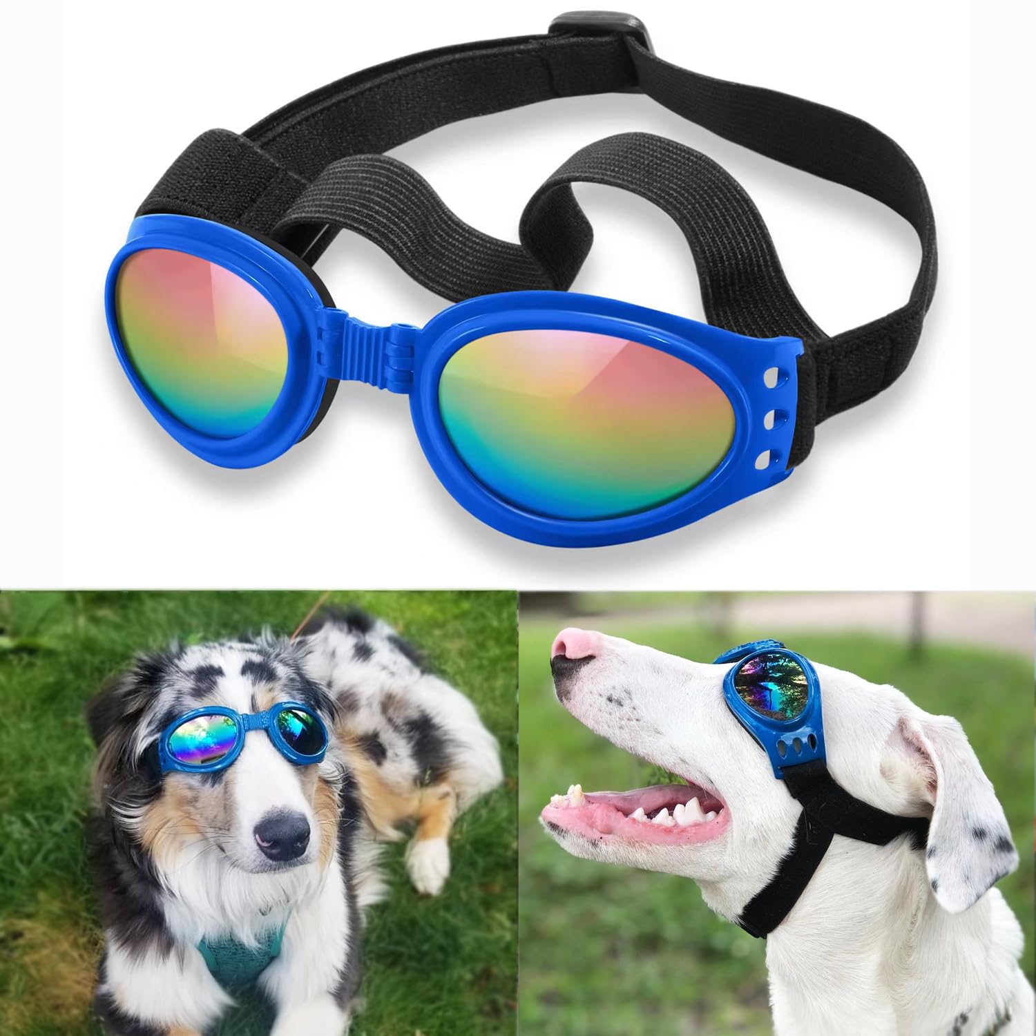 Lunettes QUMY pour chien bleu, anti-vent et poussière pour sorties extérieures.