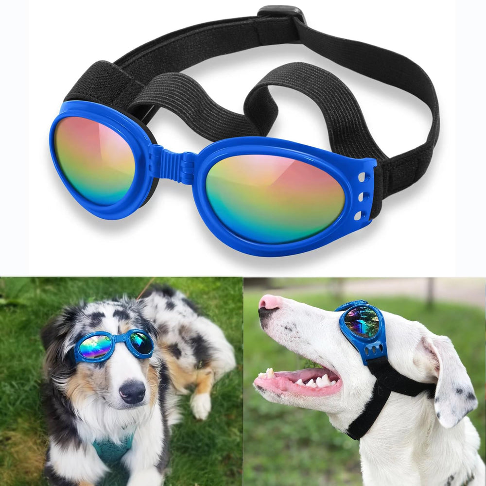 Lunettes QUMY pour chien bleu, anti-vent et poussière pour sorties extérieures.