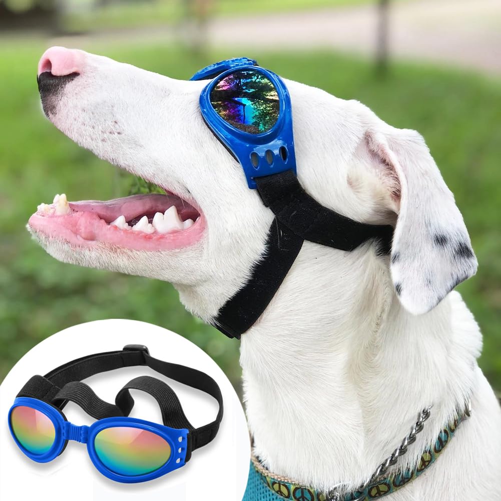 Adaptées aux chiens de plus de 15 lb, taille moyenne à grande.