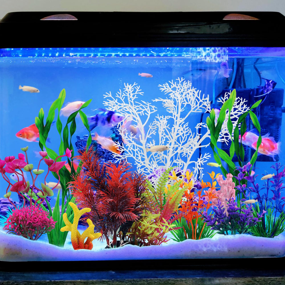 QUOZUO plante mixte, ensemble coloré pour personnaliser votre décor.