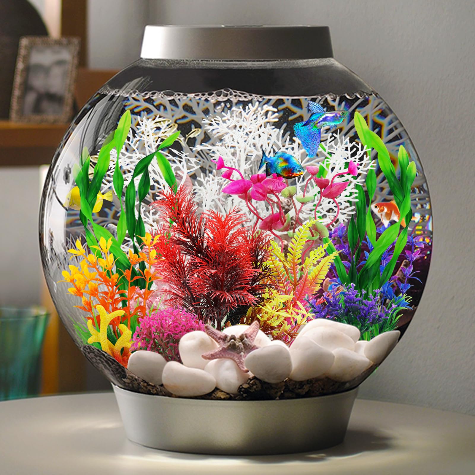 QUOZUO plante violet, réalisme subtil dans le bac.