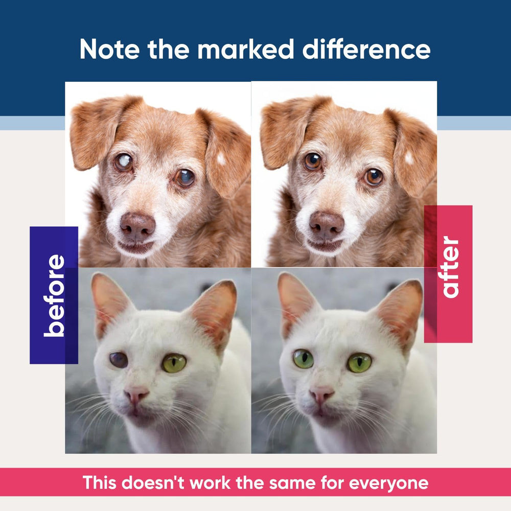 Eyemycine QUQU Natural, soin des yeux des chiens avec douceur et sécurité