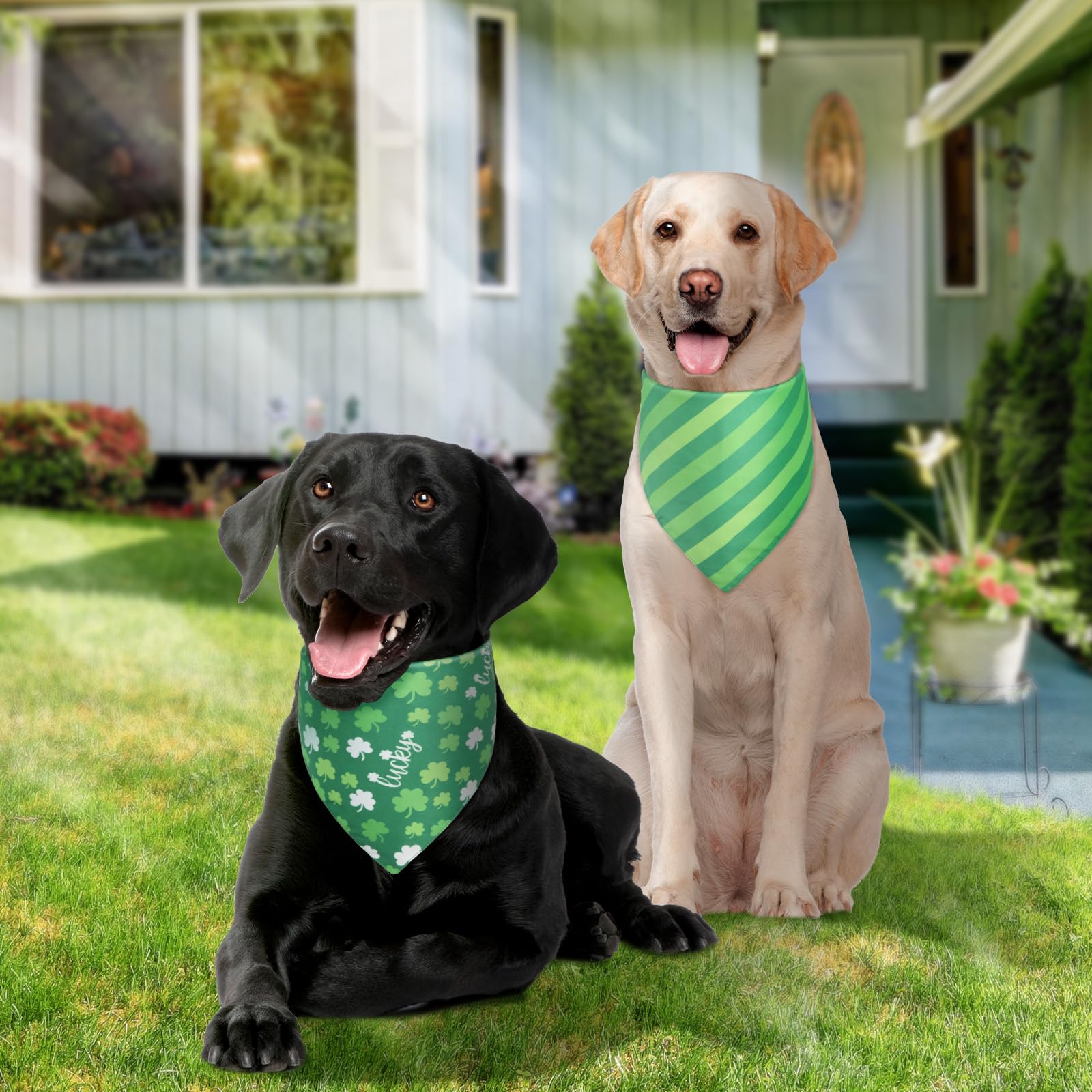 Bandana QUQULE Pâques recto, touche festive pour chien