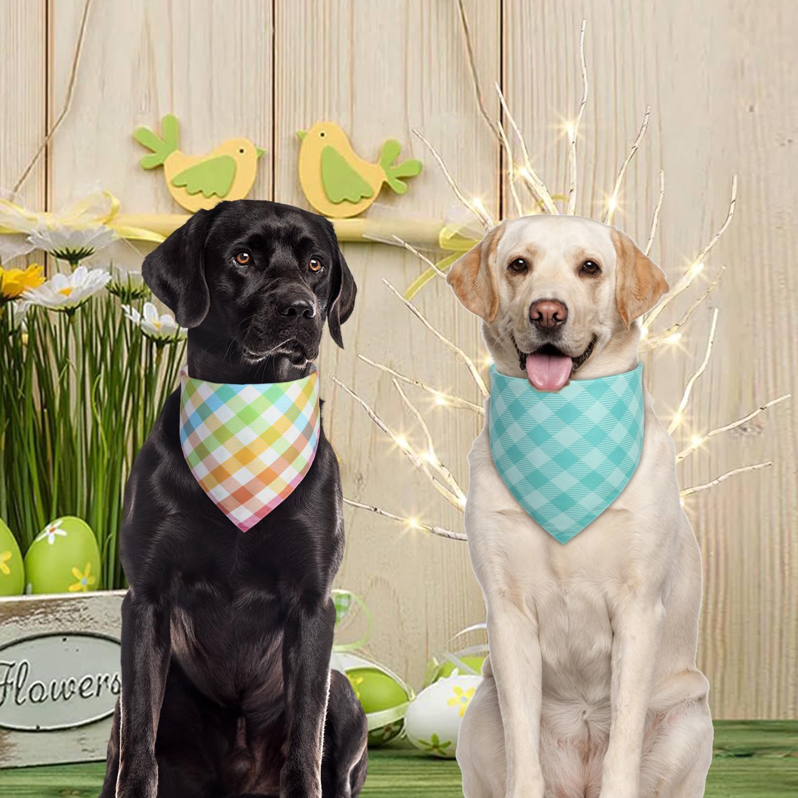 Bandana QUQULE taille grande, convient aux chiens moyens et grands