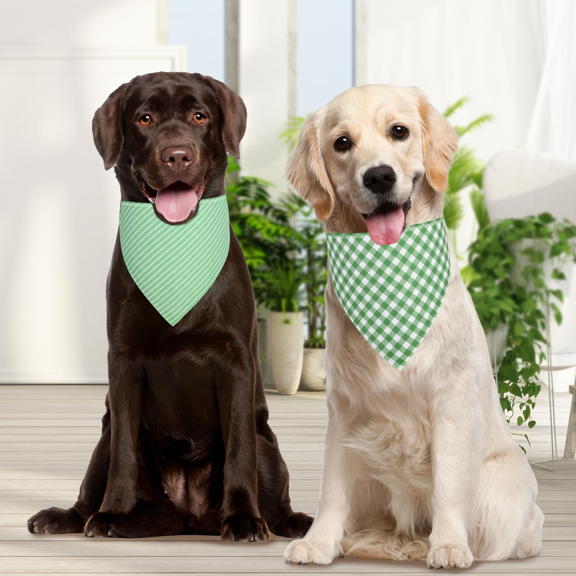 Bandana QUQULE chien vert grand motif rayé, look moderne et frais.