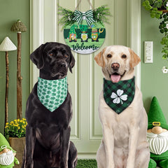Bandana QUQULE Saint-Patrick taille 18x25 cm, largeur idéale