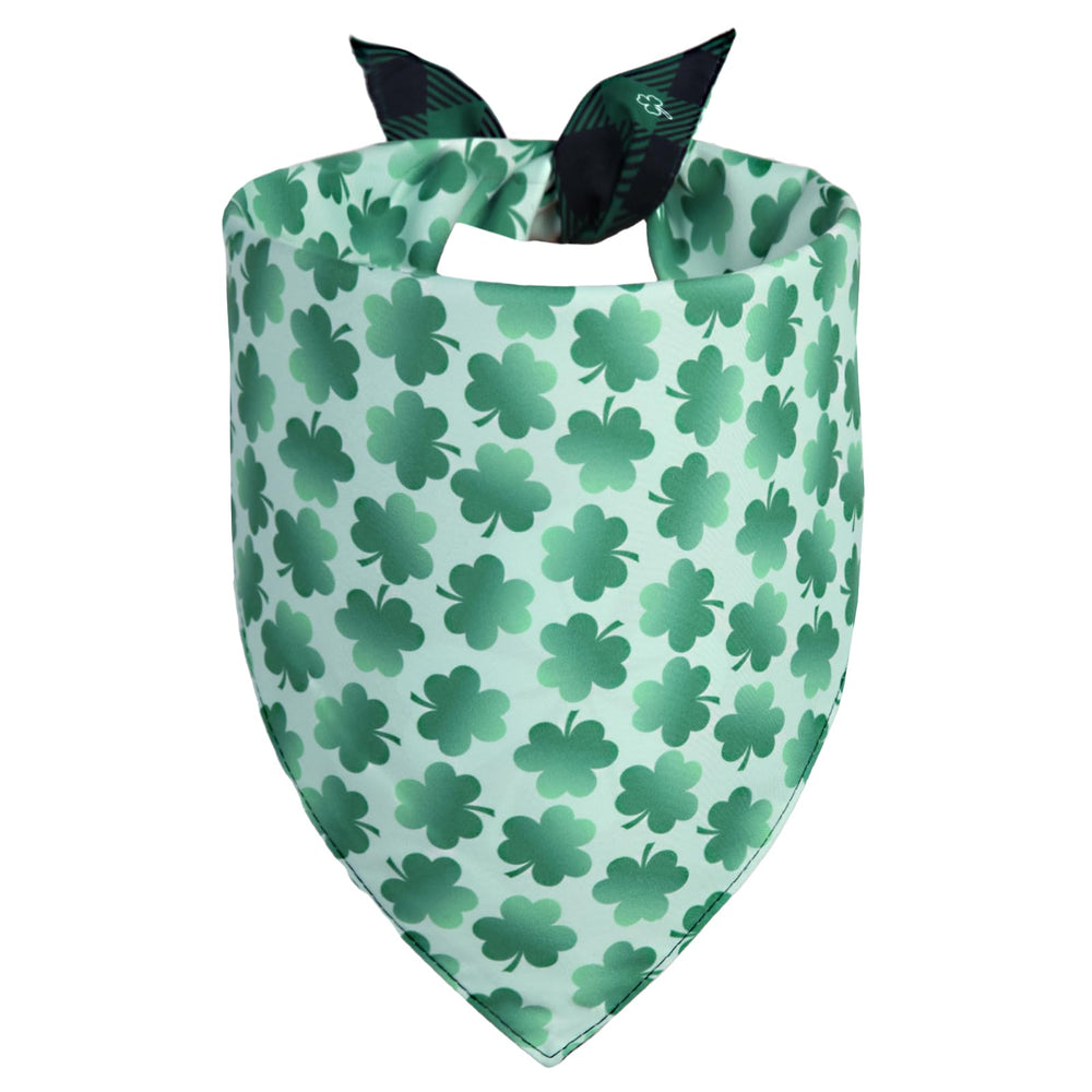 QUQULE bandana Saint-Patrick vert tréfle recto, idéal pour séances photo festives.