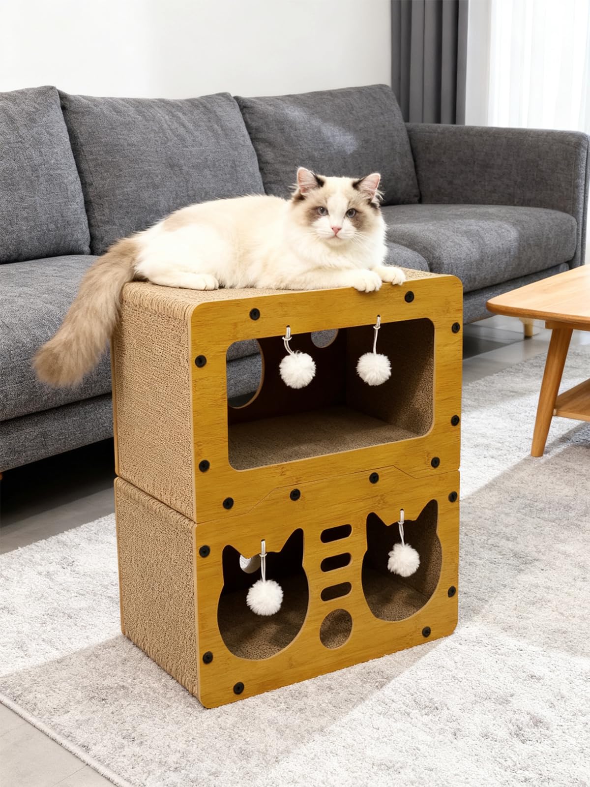 QUTUNI matériaux-sains-carton-durable pour chats actifs et confiants.