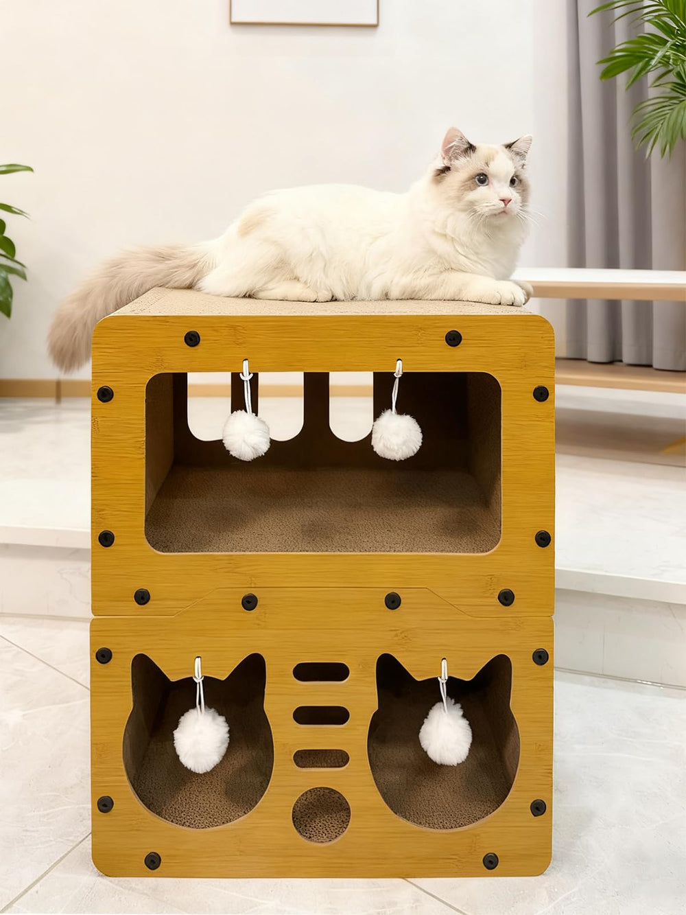 QUTUNI usage-quotidien-ideal-chat-interieur facilite la vie.