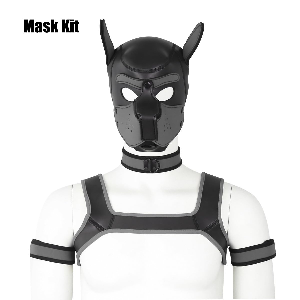 QUYUWOWO ensemble accessoires chien neoprene, prêt pour diverses tenues
