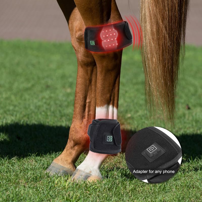 QVIKPMU thérapie-lumiere rouge portable pour cheval, pratique en écurie et sur piste.