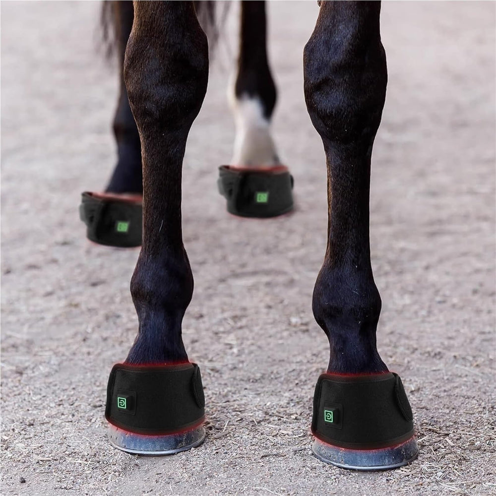 QVIKPMU tissu respirant et design ergonomique assure le confort du cheval.
