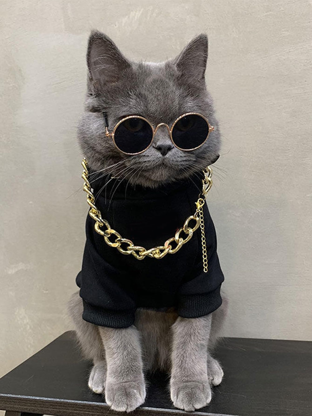 QWINEE collier-ornement pour petit animal, look élégant