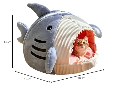 QWINEE Nid-chat Requin bleu, utilisation polyvalente à la maison ou en sortie.