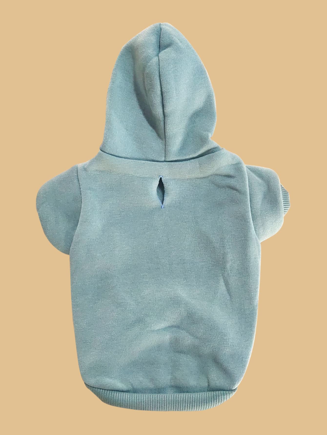 QWINEE Basic Hoodie bleu cadet vue arrière, look élégant et pratique