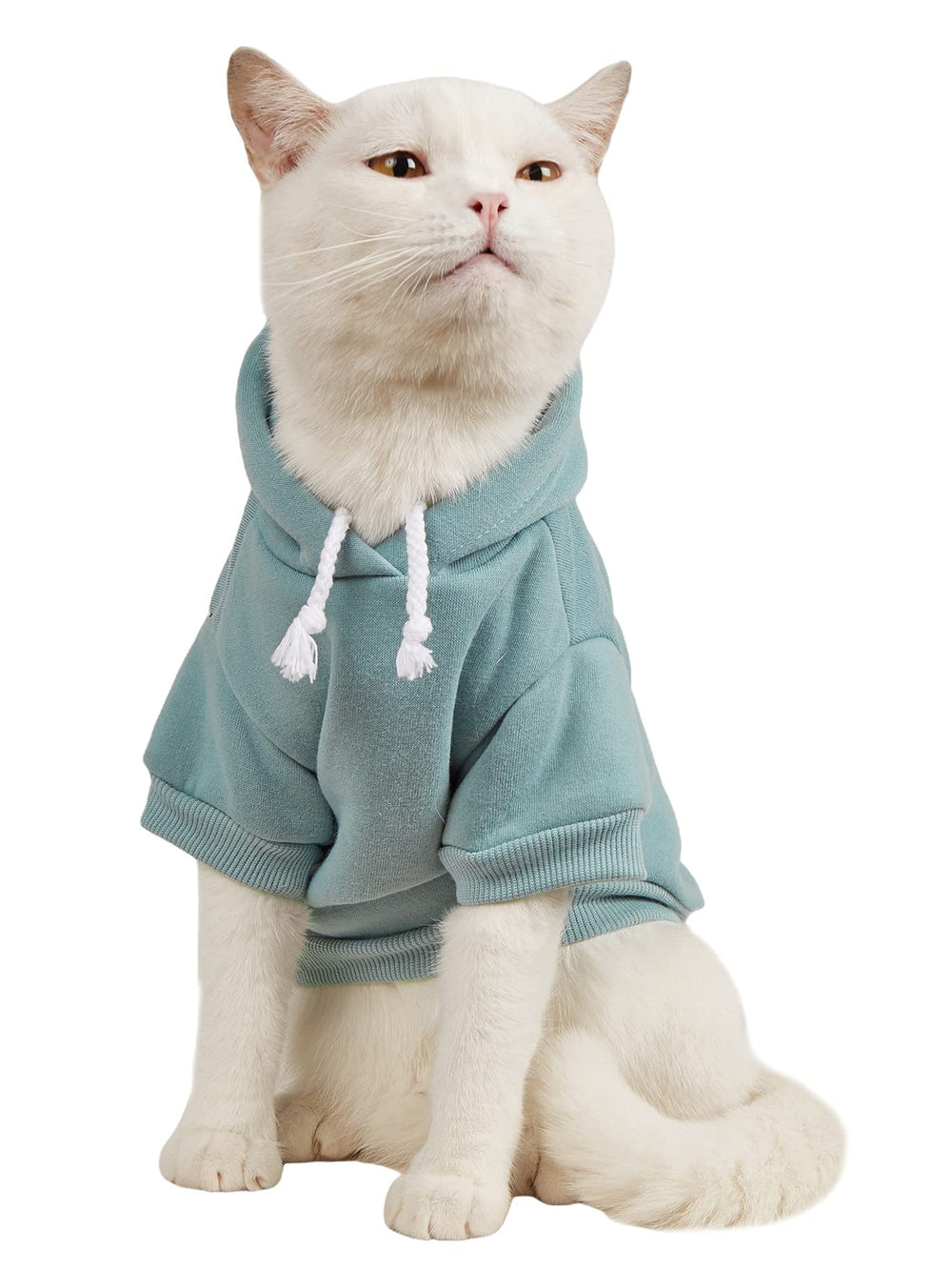 QWINEE Basic Hoodie pour chien bleu cadet vue avant, chaleur douce et enfilage facile