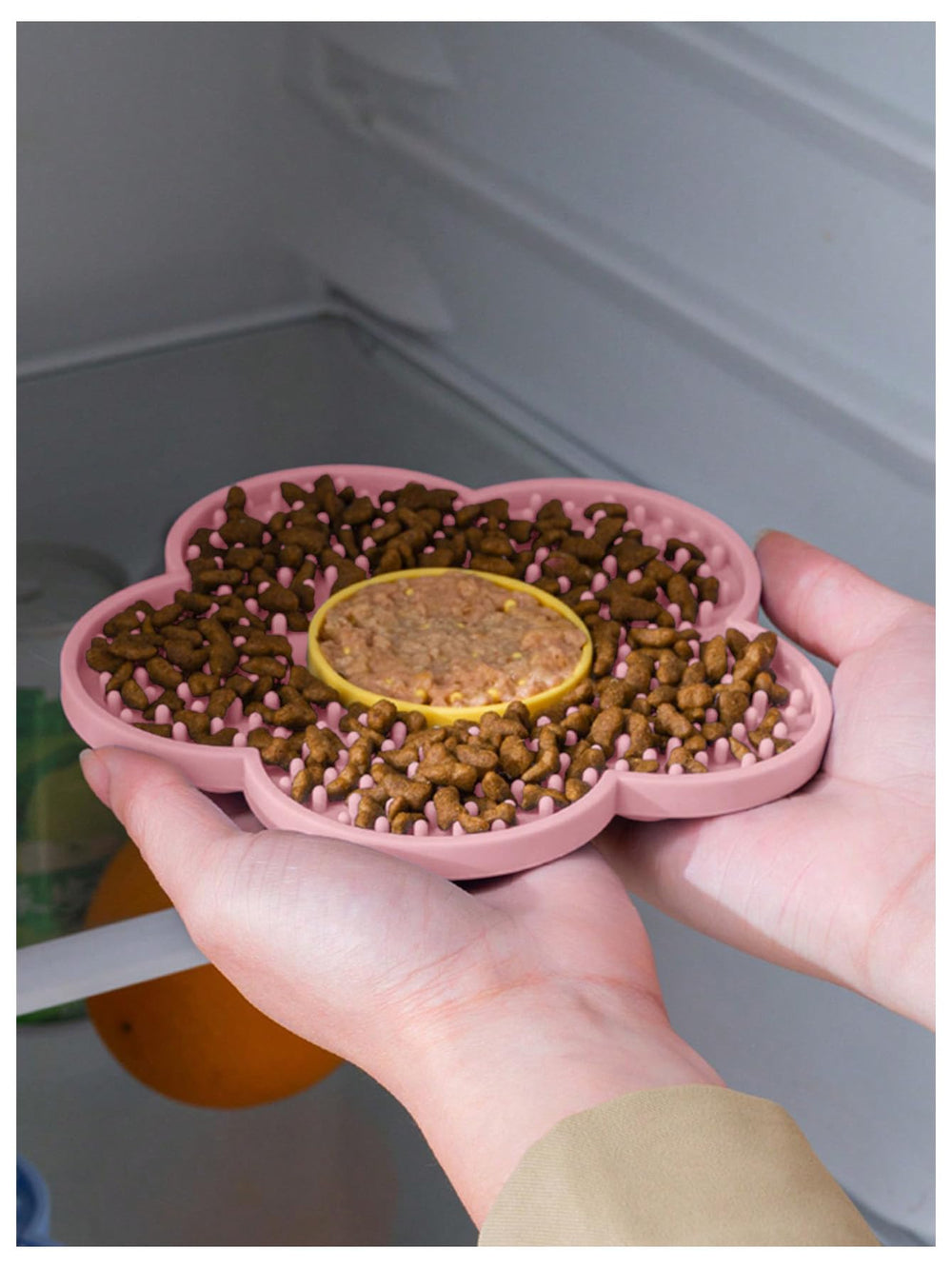 utilisation quotidienne qwinee chien et chat rose lors des repas