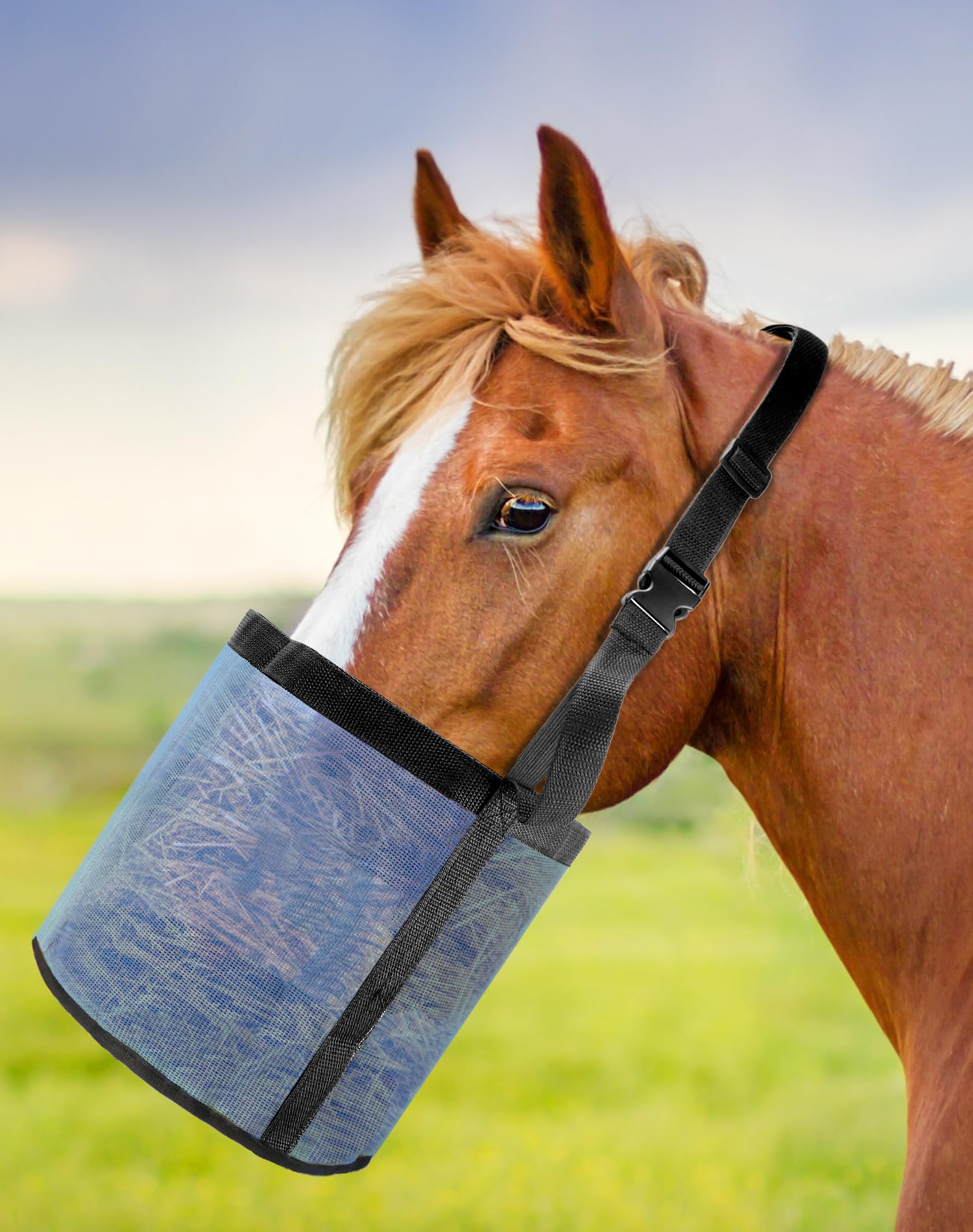 Réduction du gaspillage grâce au bord anti-débordement lors de l'alimentation.