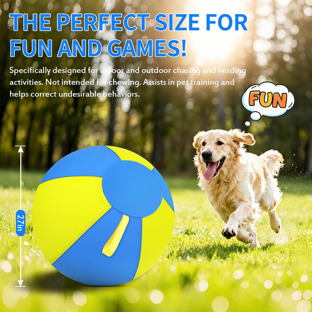QWV cadeau idéal pour propriétaires actifs et chiens énergiques.