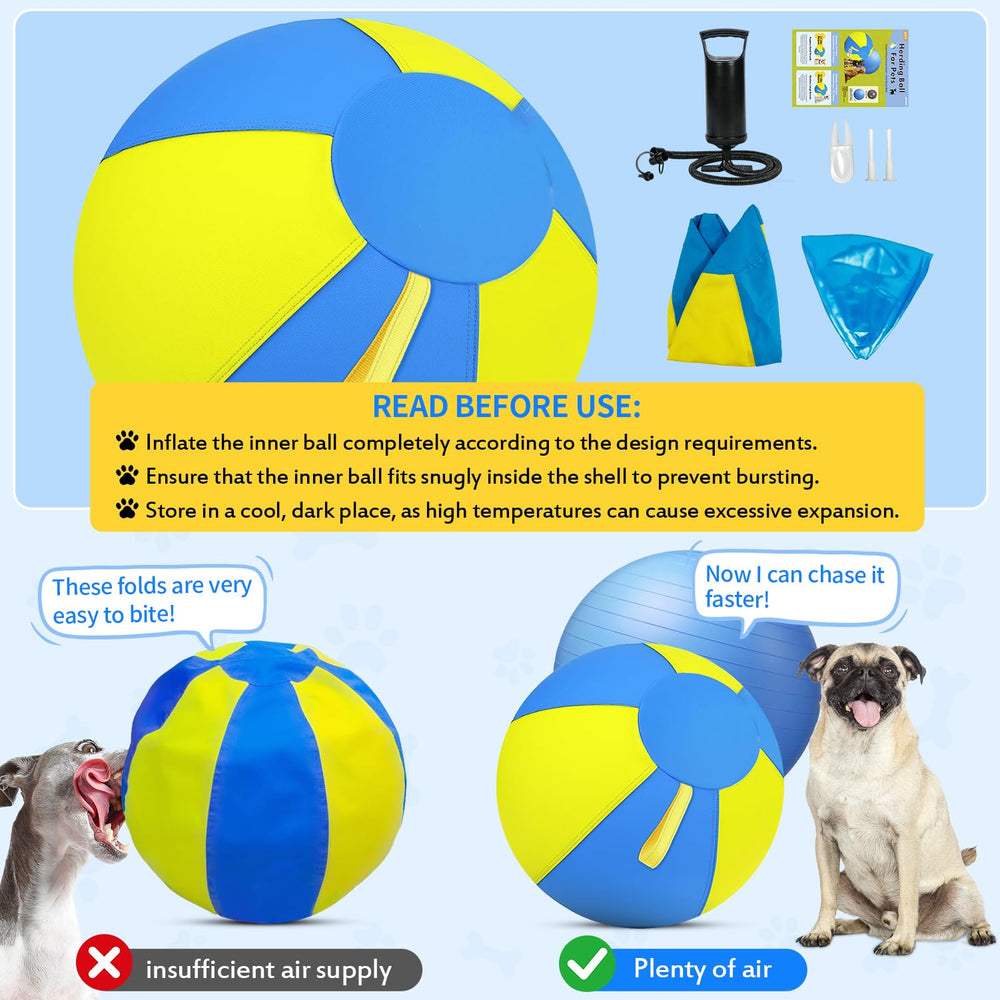QWV poignées intégrées, jeu interactif et agilité pour chiens moyens.