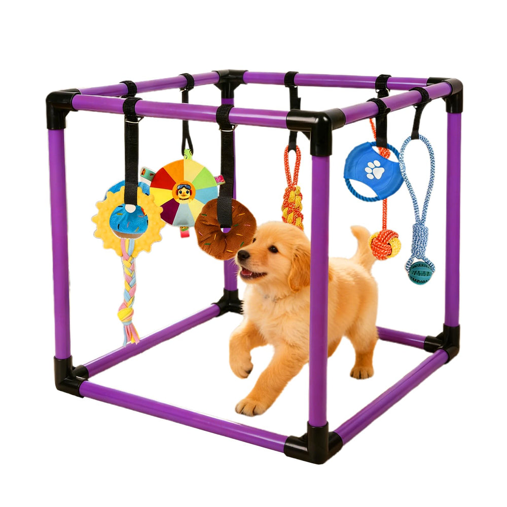 Qyswskj gym chiot intérieur cadre PVC violet, stimulation sensorielle et amusement.