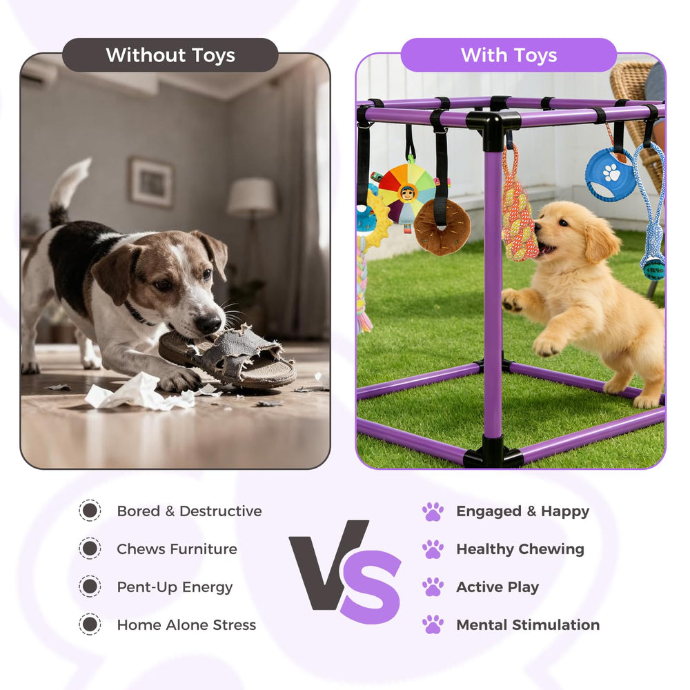 Sangle élastique ajustable de Qyswskj: hauteur personnalisable pour chiots grandissants.