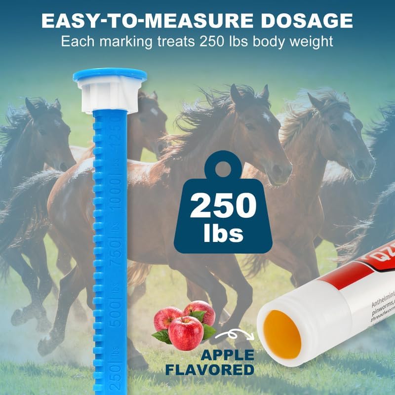Application pratique de la pâte ivermectine QZQAB sur le cheval.
